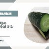 ついに！ぬか床ダイブしたきゅうり