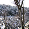 京都・雪化粧～清水界隈（2）