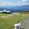 秋の気配～　元気にお散歩♪