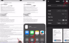 【NZワーホリ】ワーホリビザe-visa.htmlを印刷する方法