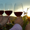 Wine tours in Newberg a Lifetime Experience 