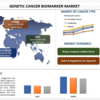 遺伝的癌バイオマーカー市場規模、シェア、成長および成長2030 年の予測