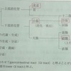 第2章 人体構造・機能論 3/4