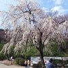 西山公園 (福井県)