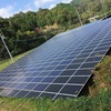 💰太陽発電みんなで❗️
