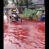 インドネシアの村で洪水、工場から染料が流れ赤い水で覆われる