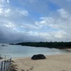 【宮古島のめっちゃきれいな海で泳ぎたい！天国ビーチ】シギラビーチ　宮古島　離島　沖縄　シュノーケリング　スキンダイビング　ダイビング　海　海水浴　透明度が高いビーチ　宮古ブルー