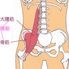 おなかの脂肪を撃退！いますぐスタート！