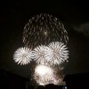 １年と32週目。夏の定番。花火鑑賞。