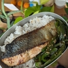 【お弁当レシピ】鮭とピーマン
