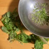 しその実の醤油漬け