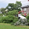 夜だるま速報／事故