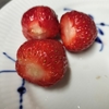 いちごのヘタをスムーズに取る方法