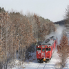 【2024/01/15.16】これで北海道内最期のダブルタラ(タラタラ)なんて言わないで！ Never say,Never double cod roe…