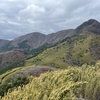 【明神ヶ岳・金時山登山】寒さに震えた山行でした（後編）