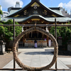 ⛩湯島天神　茅の輪くぐり