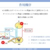 慢性難治性疼痛に対する脊髄刺激療法を科学する５
