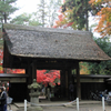 平林寺の紅葉