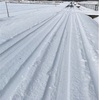 気分爽快♪ 雪道ラン