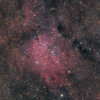 子ぎつね座 NGC6823,LBN136,137,138 and 139