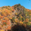 紅葉狩りライド2021：金ヶ岳林道、木賊峠、本谷川渓谷、通仙峡、みずがき湖