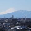 今日の富士山 ＆ ランチは「ラリグラス」のインドカレー
