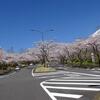 もうじき桜の季節🌸　～刹那の美学を愛車とともに～