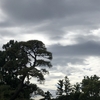 晴耕雨読な生活。天気が悪いと何をする気にもならず、で。