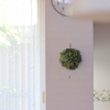 ドライにぴったり秋色紫陽花。