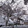 表門前へ　雪景色