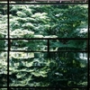 新緑の瑠璃光院・京都