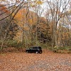 ★信州秋旅4日目：熊の湯ホテル→七味温泉紅葉館→松川渓谷温泉滝の湯→山田温泉共同浴場→子安温泉→おぶせ温泉あけびの湯→裾花峡温泉うるおい館→『酒音いいだ』→北陸新幹線でお江戸へ