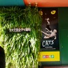 劇団四季CATS38周年（福岡）