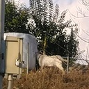 はてなブログ様のリソースを無駄に消費してごめんなさい