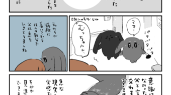「ロンロン、沼を知る」第718話