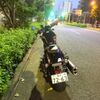 朝市新鮮広場うおすい＠千葉県勝浦市 「生まぐろ漬け・ネギトロ丼」