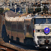 団体・臨時列車コレクション。
