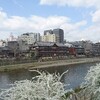 京都旅行　　六波羅蜜寺と下鴨神社