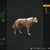 【theHunter】ハイイロオオカミ狩り：レッドブラウンのレア毛皮を狩猟