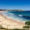 Bondi Beach vs Bronte Beach