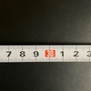 水深30cmを泳ぐ