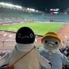 ペンギンサポーターは無声援で応援！久々のJリーグ観戦です(ヤンマー後編)(343)