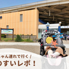 【新江ノ島水族館】赤ちゃん連れえのすいレポ！授乳室などの設備情報やお得な年パス情報など♪