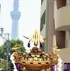 三社祭　娘たちが神輿を担ぐのがちょっと嬉しい