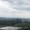 陰遁