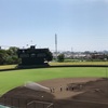 🏐高校野球ではない野球観戦⚾️