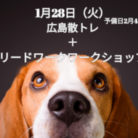 広島ワンウォーク＆リードワークワークショップのお知らせ