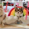 DJM宅でお友達♪いらっしゃいませぇ～(-^〇^-)