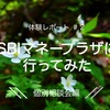 SBIマネープラザで【個別相談】を受けてきた感想