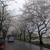 アイスタに行けちゃう前日のわくわく